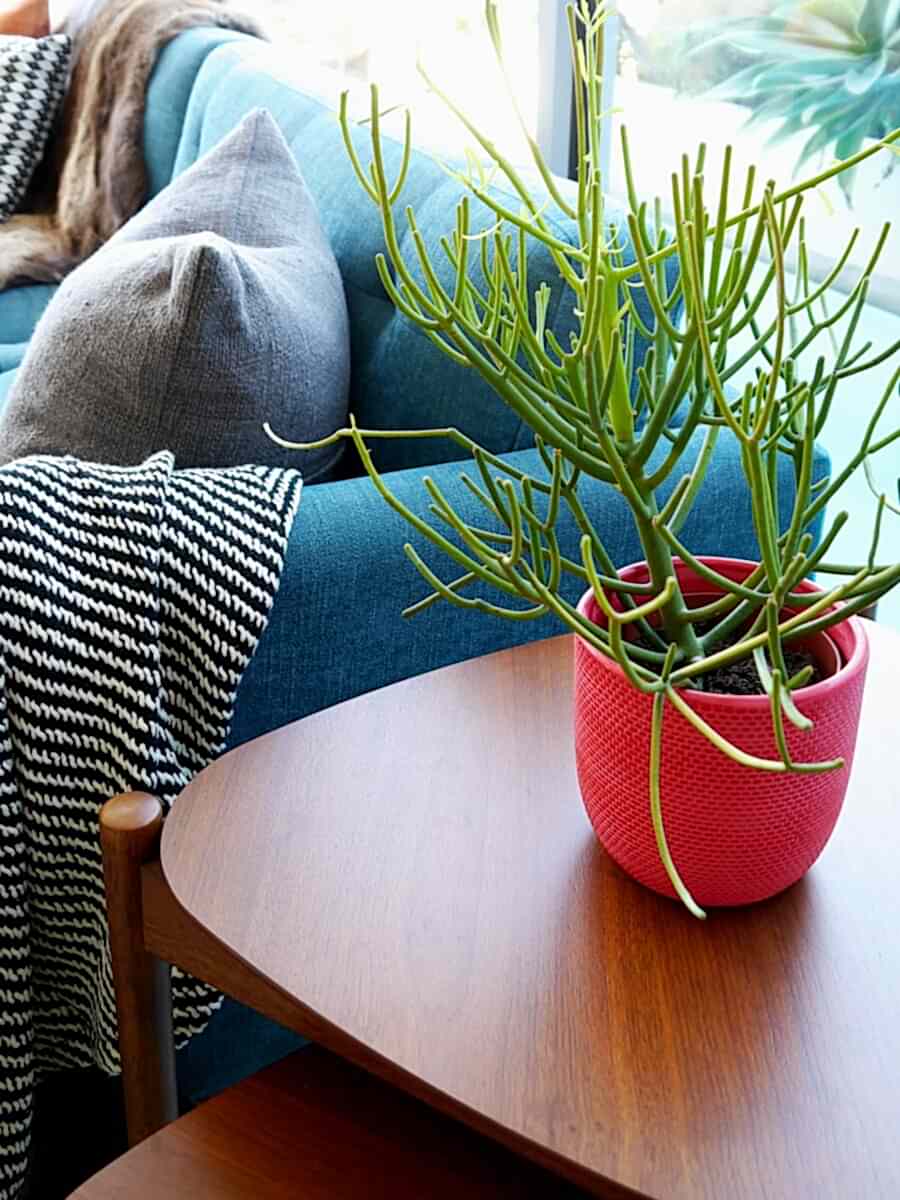Interior stylist melbourne eclectic interior design apartment interior design melbourne