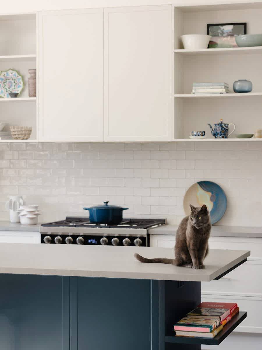eclectic-creative-heritage-house-renovation-hughesdale